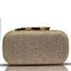 Pochette de soirée